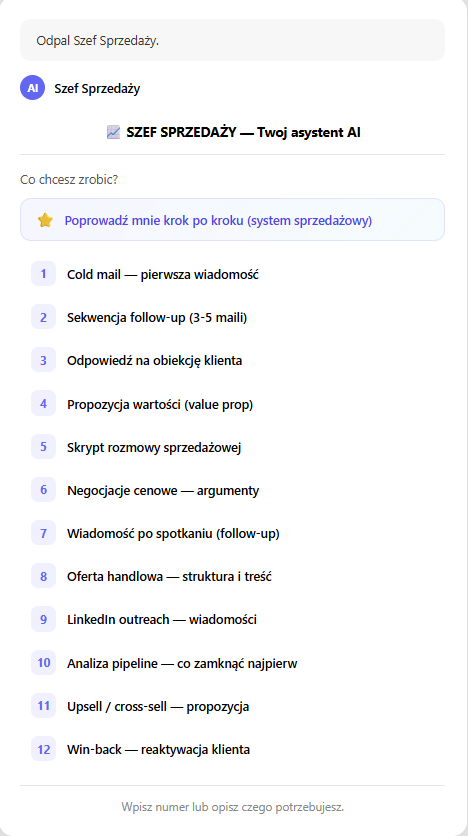 Demo: Szef Sprzedaży w akcji